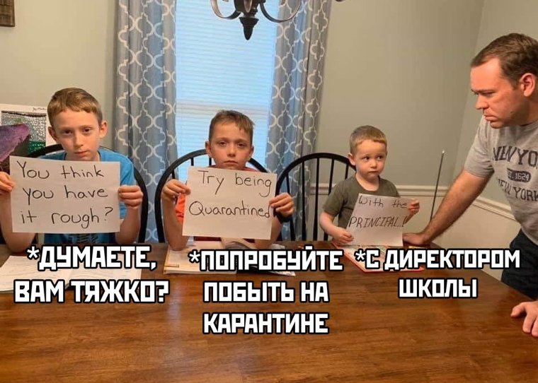 Скоро в школу приколы