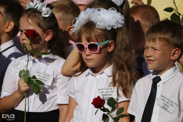 Шутки про Дистанционное обучение