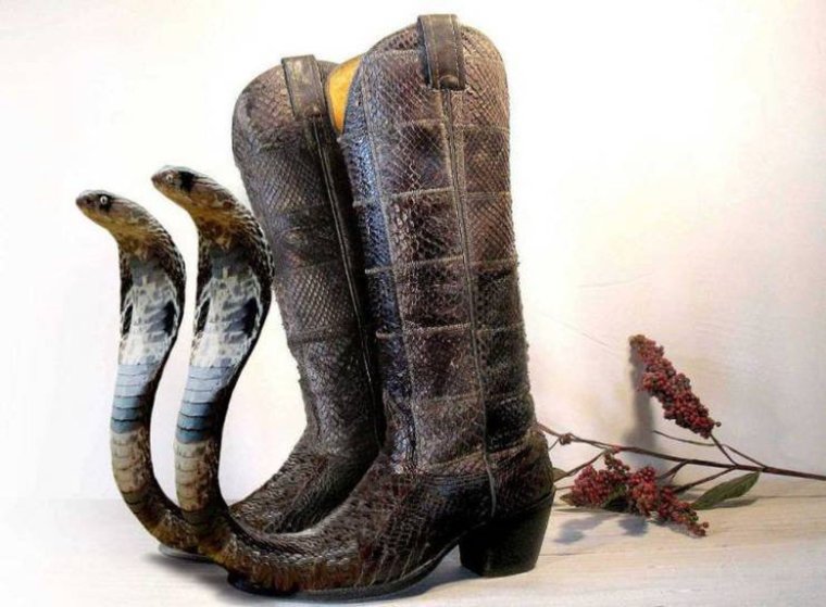 Необычные сапоги