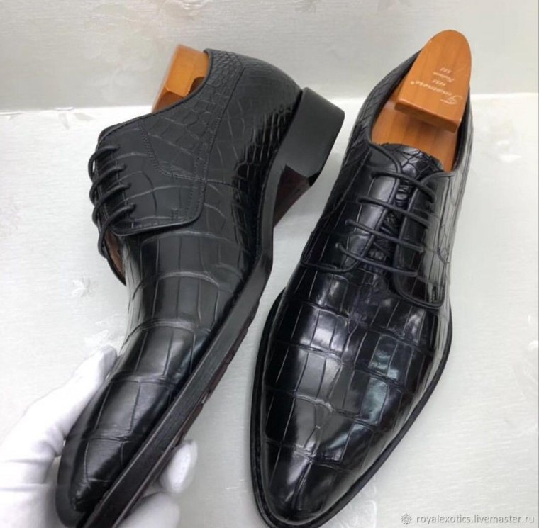 Pakerson Senator крокодил