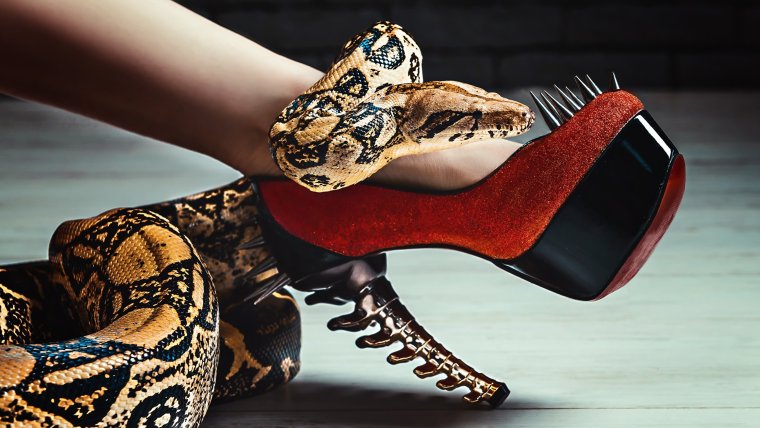 Туфли Кобра