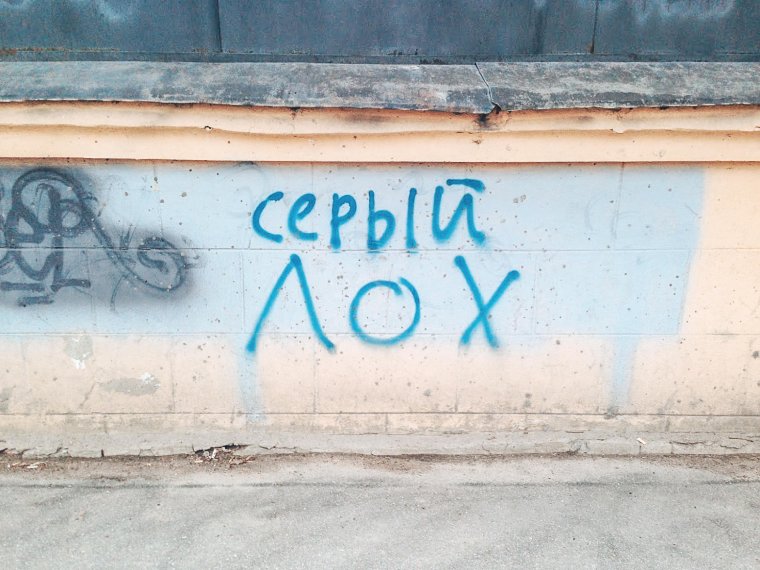 Шутки про Мишу смешные