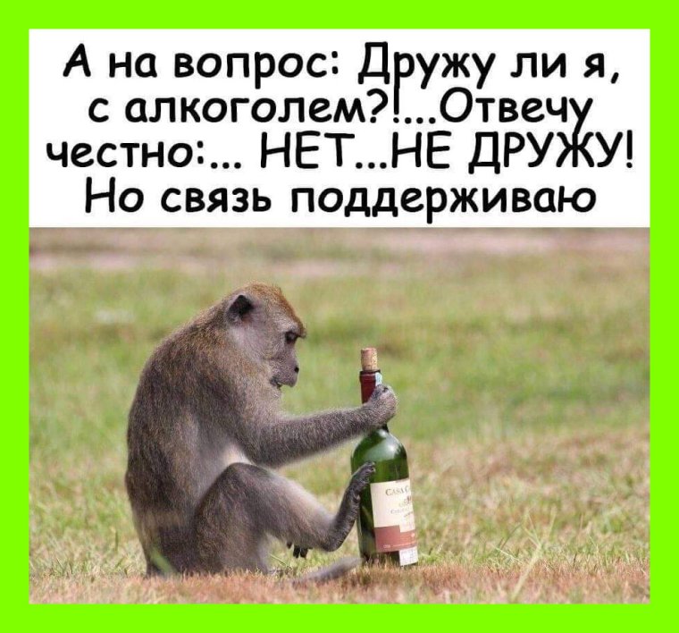 Приколы про алкоголь