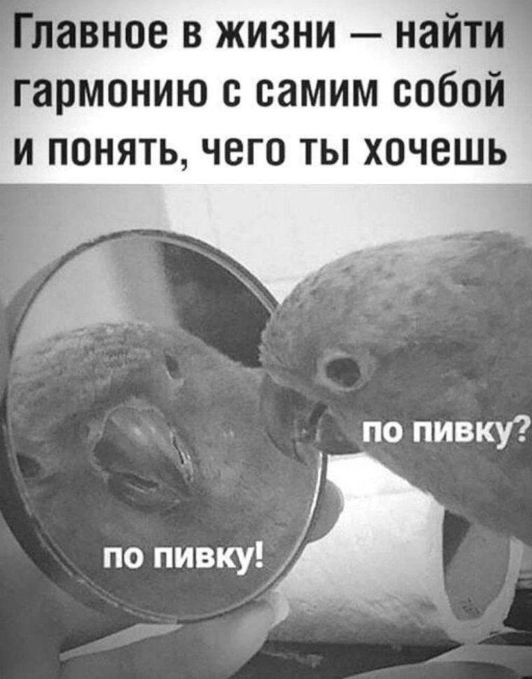 Приколы про алкоголь