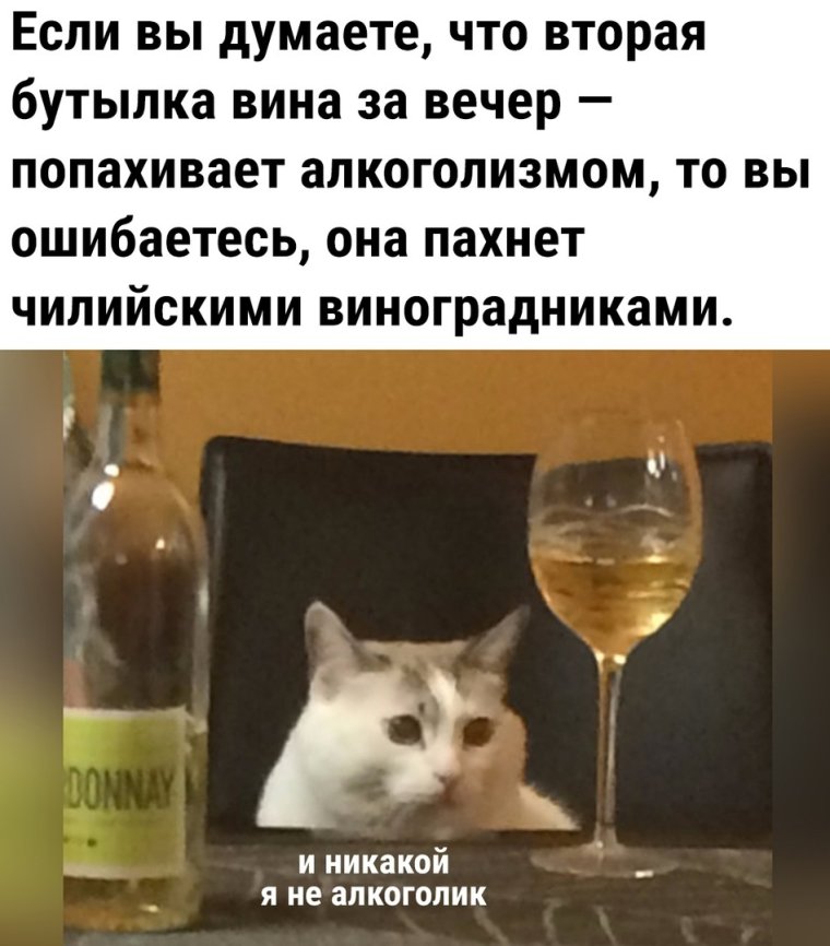 Мемы про пятницу и алкоголь