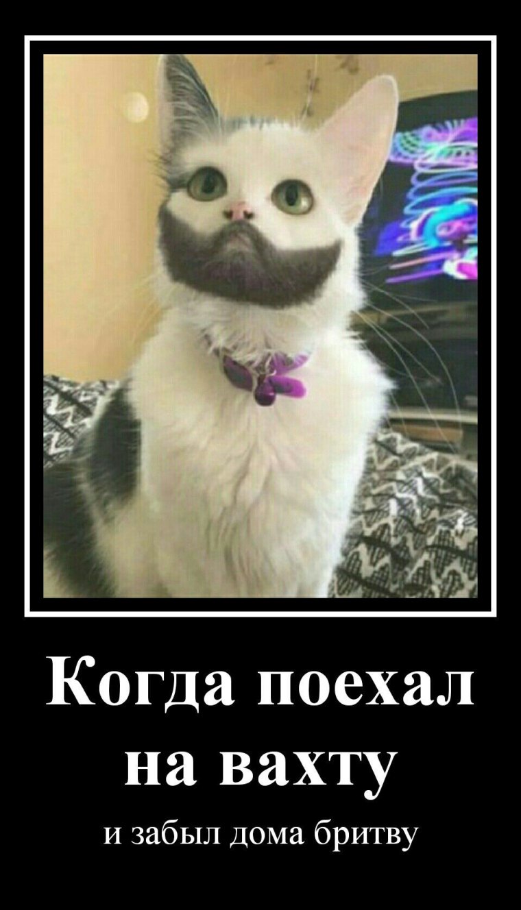 Удачной вахты