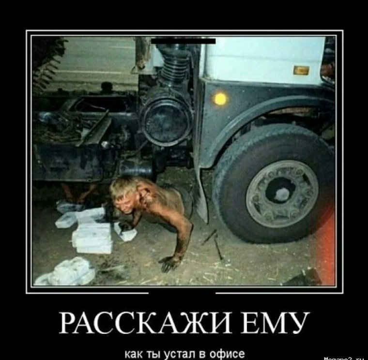 Водитель глазами логиста