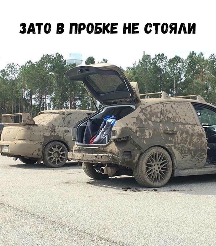 Типичный Субарист