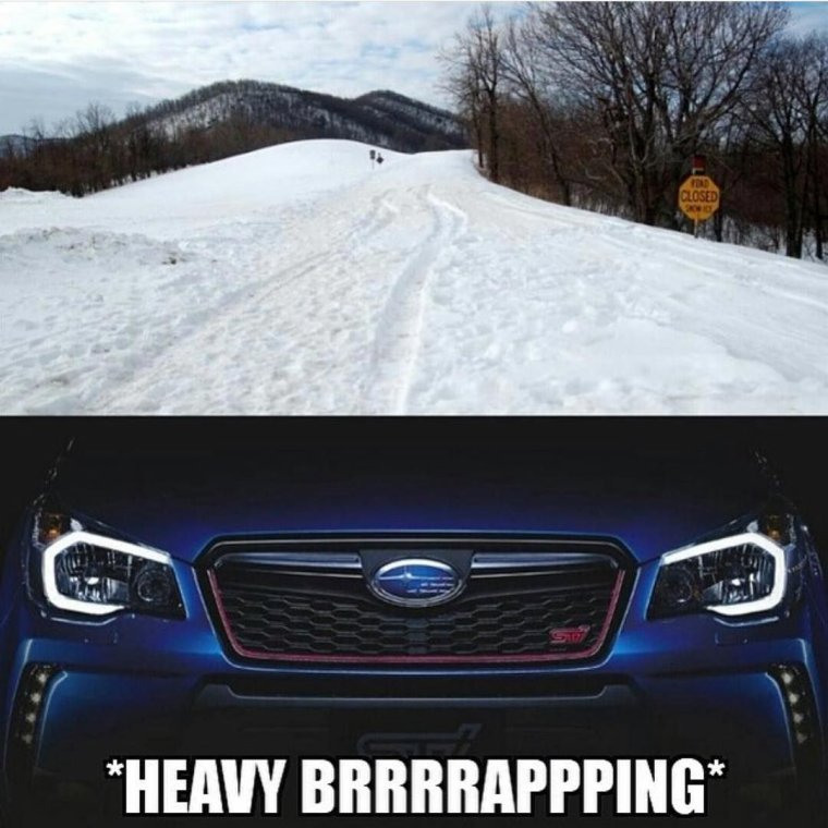 Мем про Субару Форестер