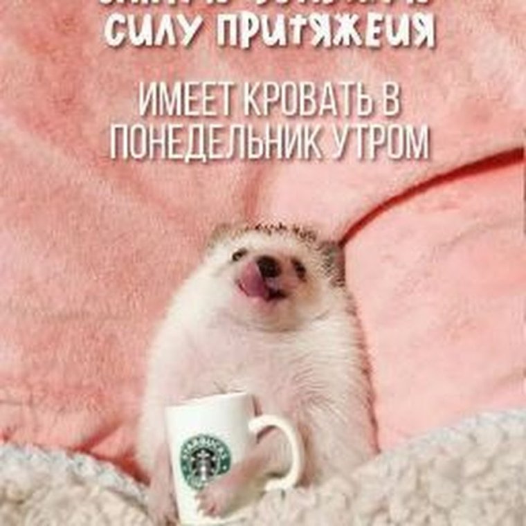 Доброе утро цитаты