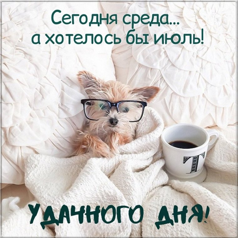 С добрым утром воскресенья прикольные
