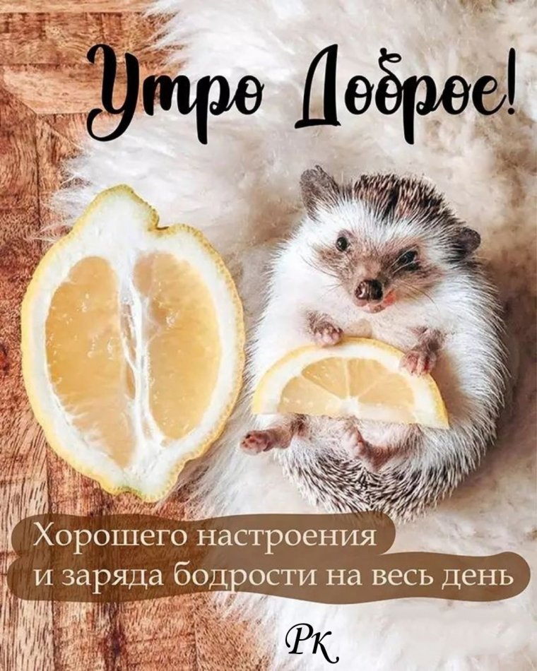 Доброе утро хорошего настроения