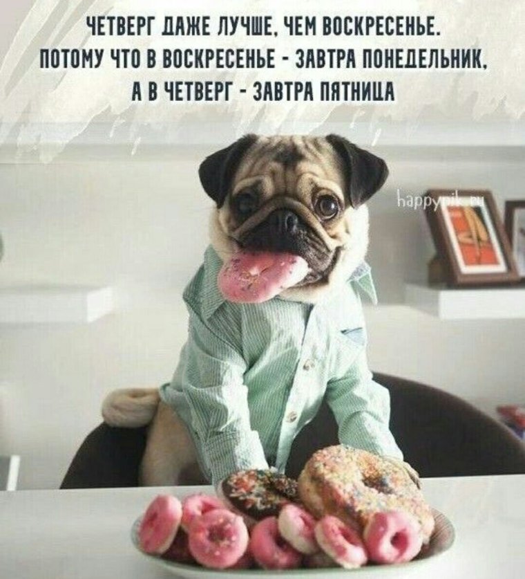 Открытки с добрым утром п