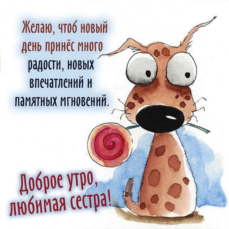 Доброе утро прикол