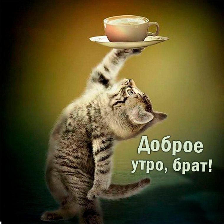 Онигири прикольные