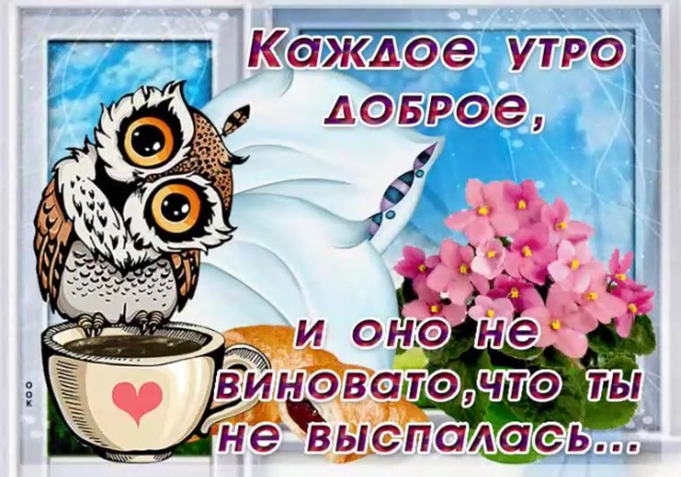 Открытки с добрым утром пятницы