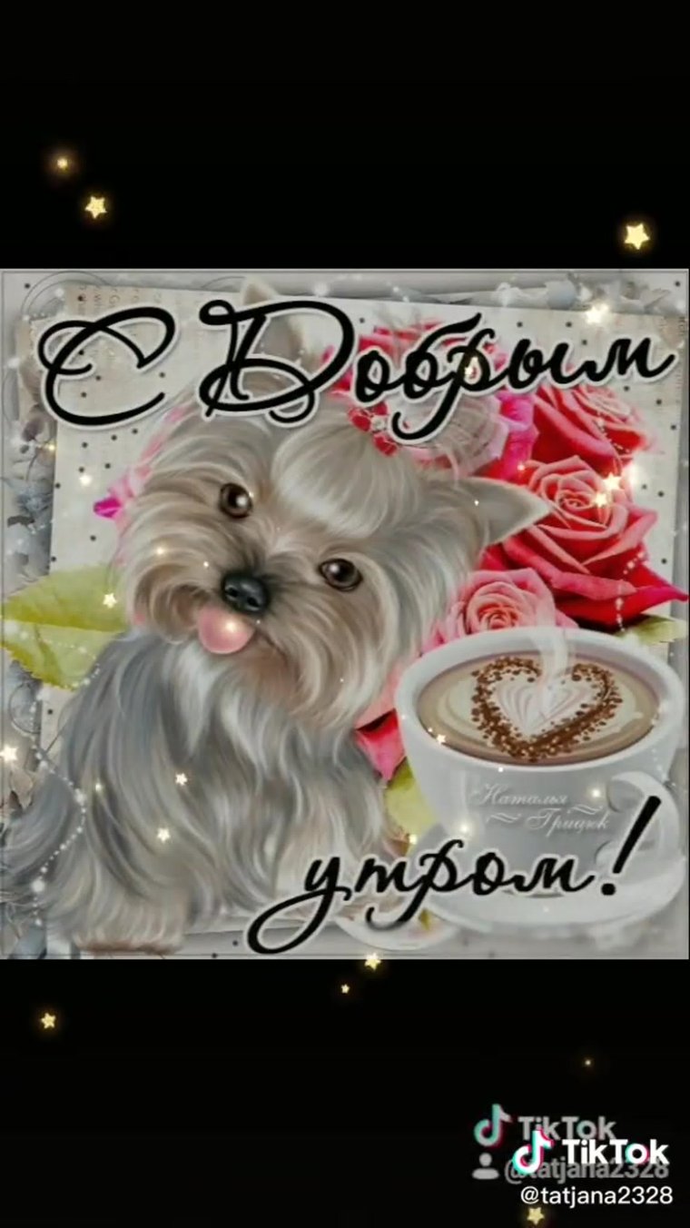 Открытки с добрым утром смешные