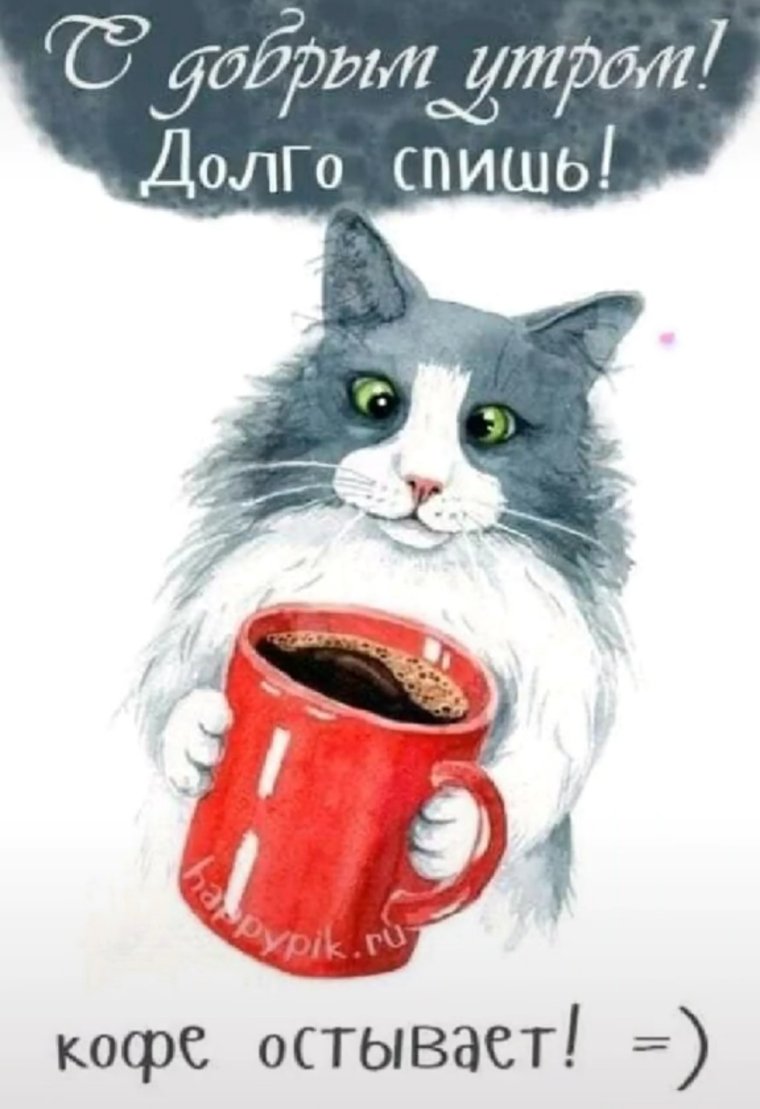 Привет доброе утро