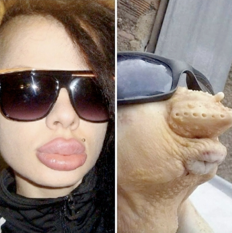 Курица с накачанными губами