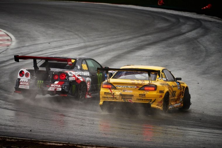 Сильвия 13 и 14