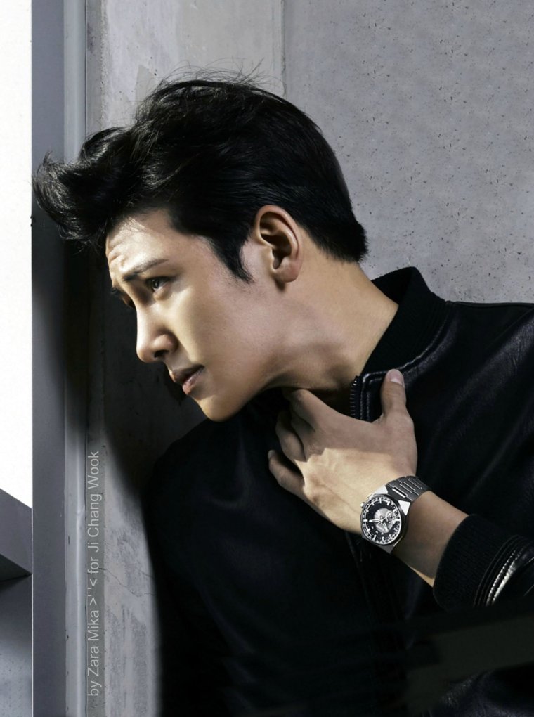 Чжи Чан УК модель