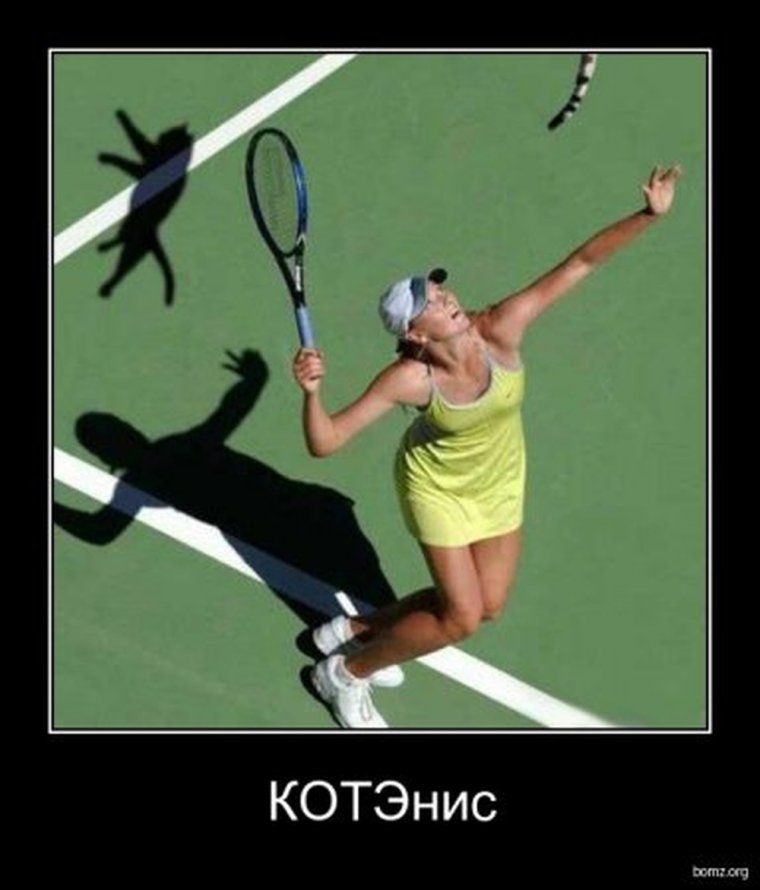 Комиксы теннис