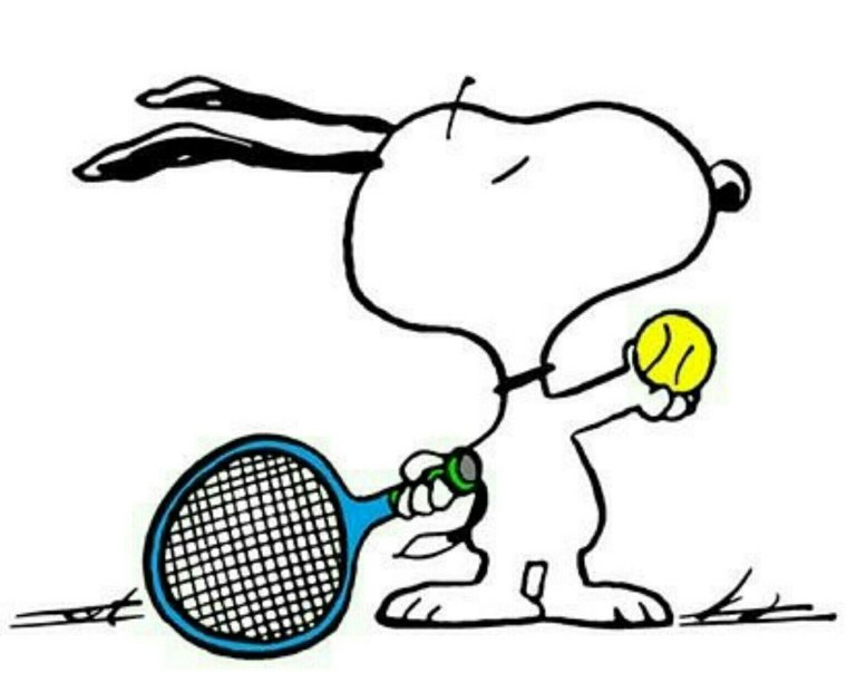 Большой теннис девушки