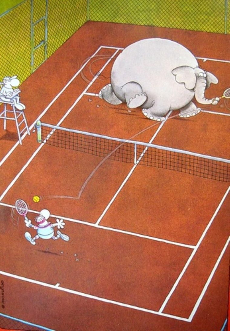 Шарж теннисист