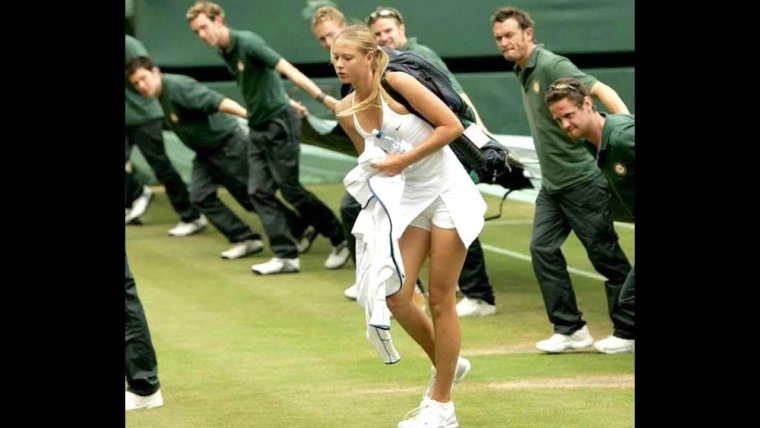 Обезьяна с теннисной ракеткой