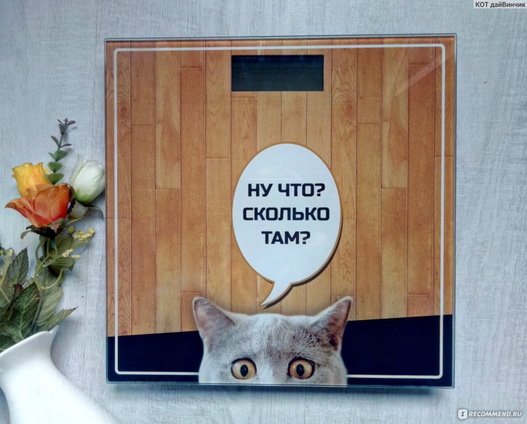 Прикольные весы напольные