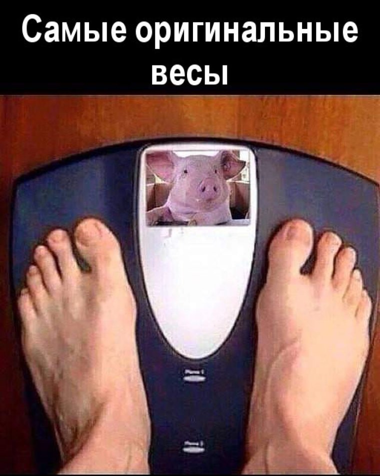 Смешные весы