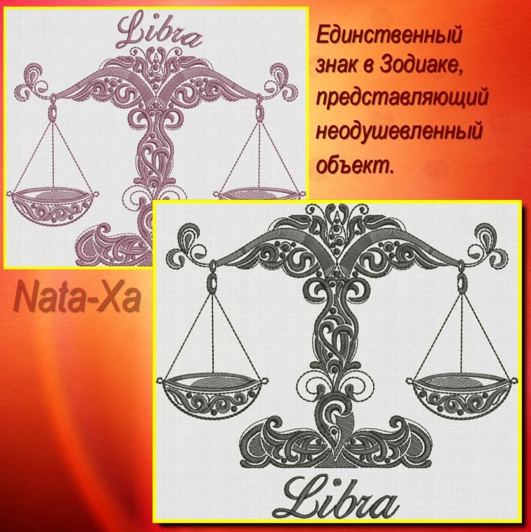 Кот взвешивается