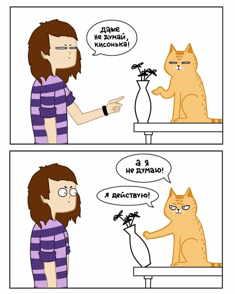 Мемы с кошками