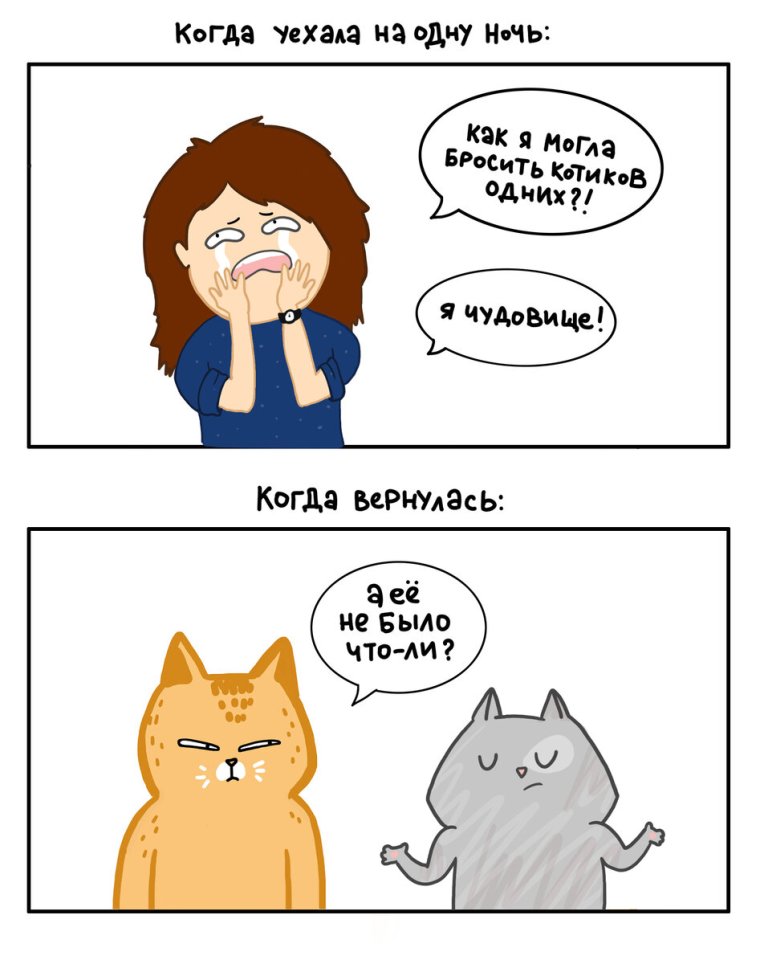 Лакшери Котакшери комиксы