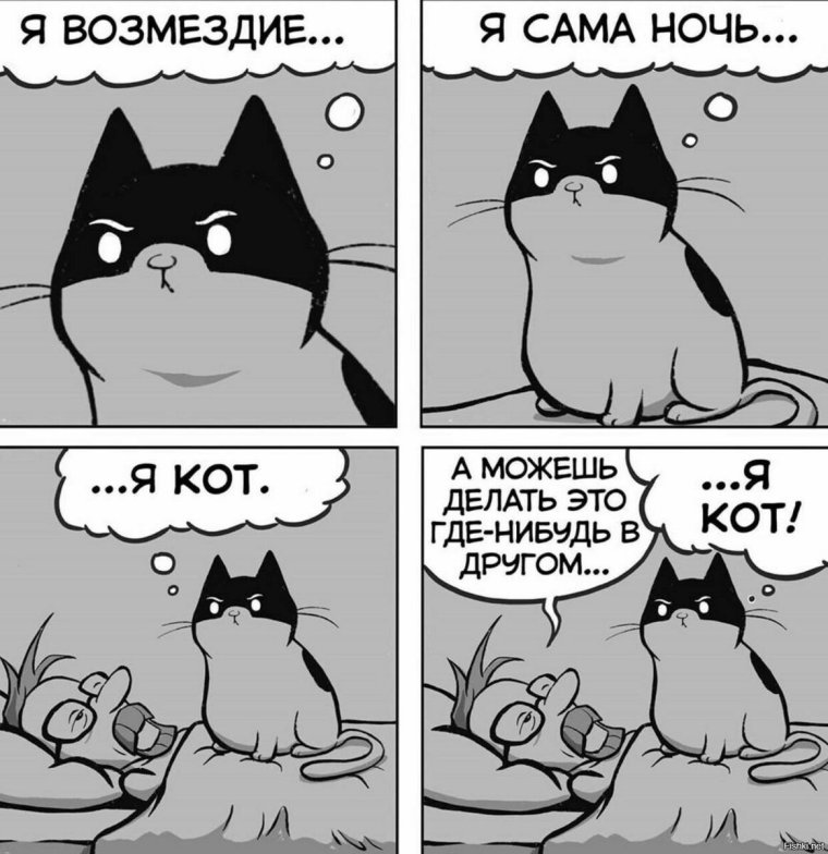 Кошка кора комиксы