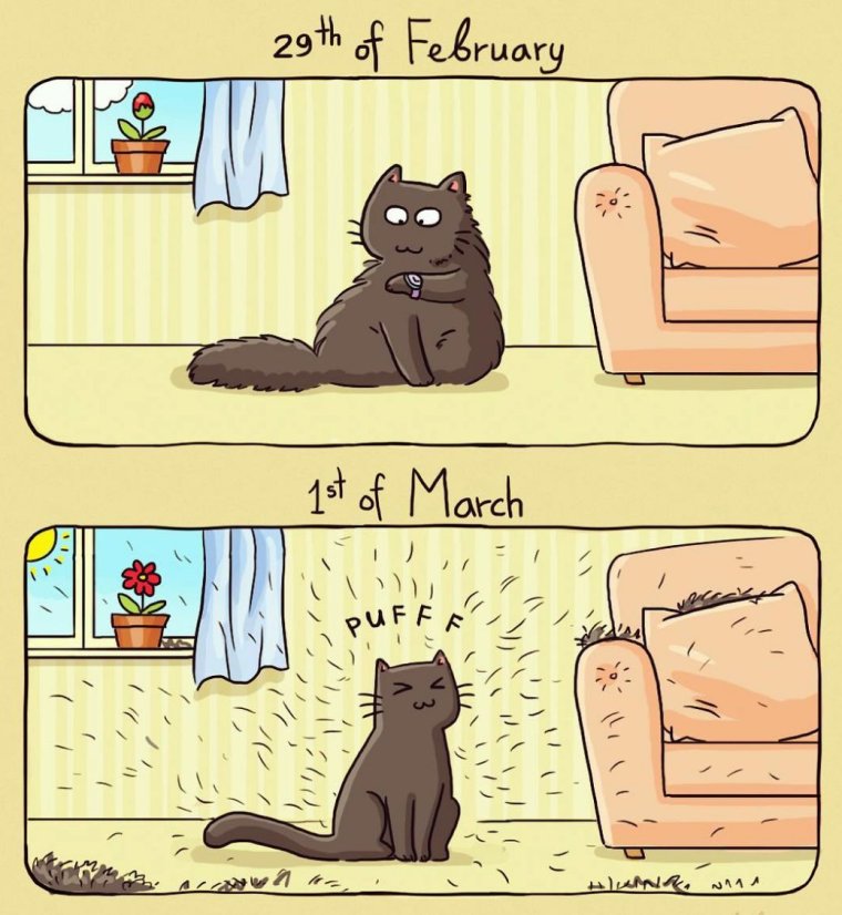 Комикс про кота