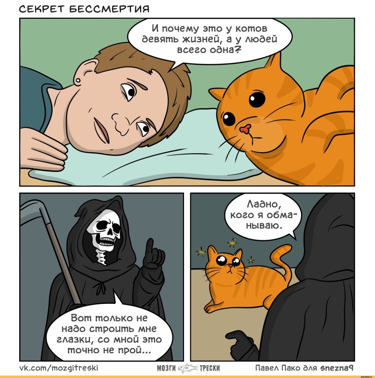 Комиксы про котят