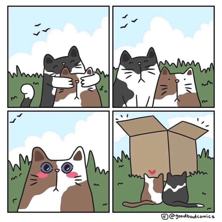 Смешные комиксы с котами