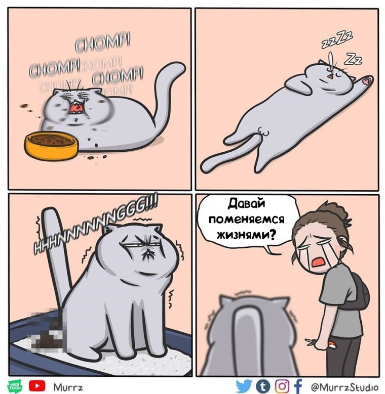 Котик болеет