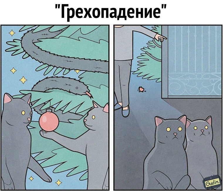 Кот пакет нужен