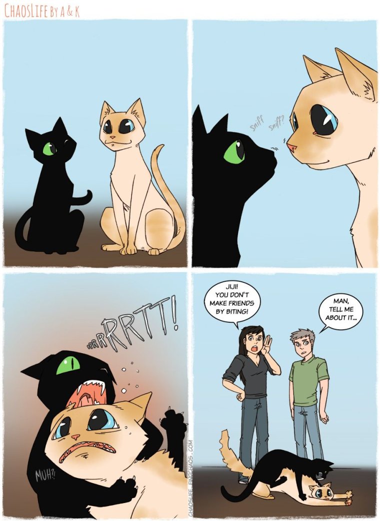 Комиксы лакшери котак Шери