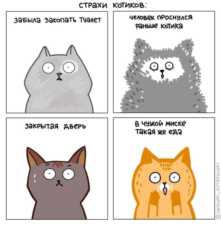 Кот скидывает вещи