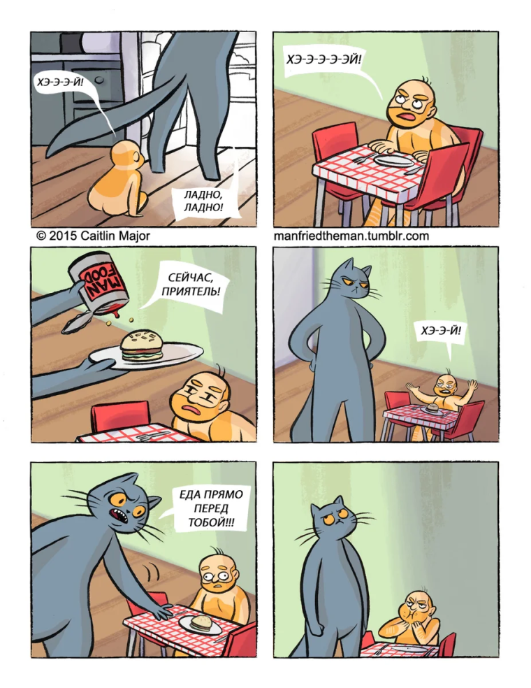 Кто хороший мальчик кот