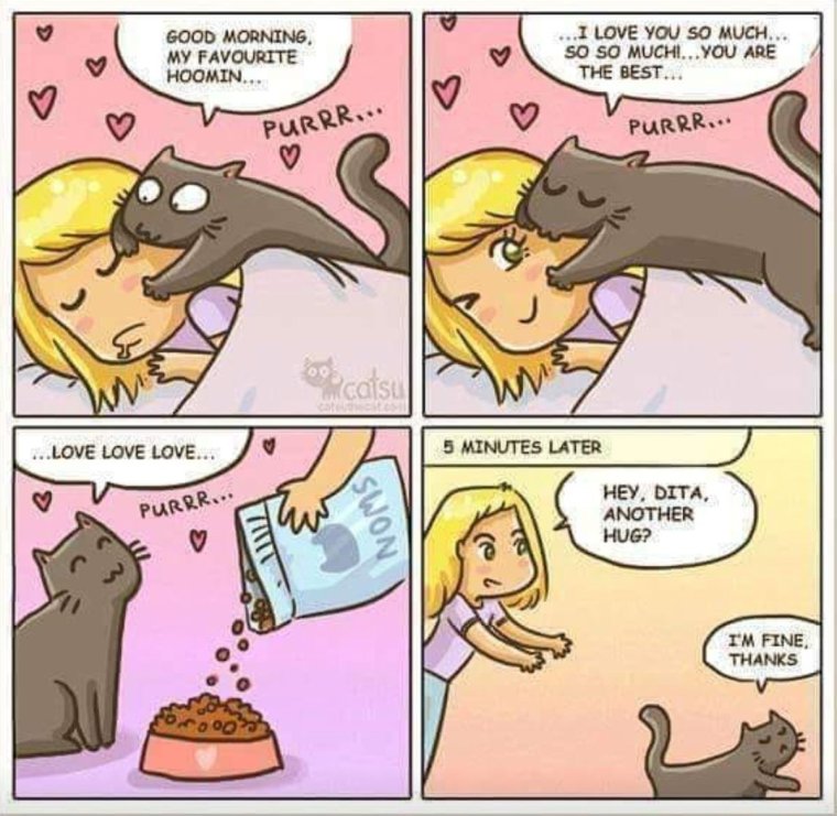 Комиксы про котов