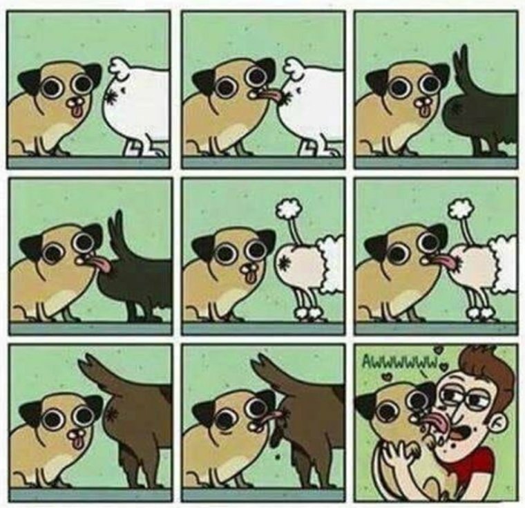 Кошачьи комиксы