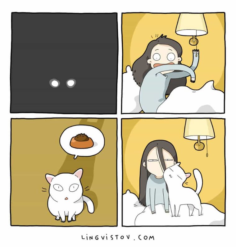 Комикс про кота