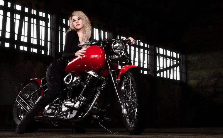 Елена Тытюченко Harley-Davidson