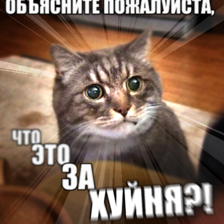 Смешные фото с матом