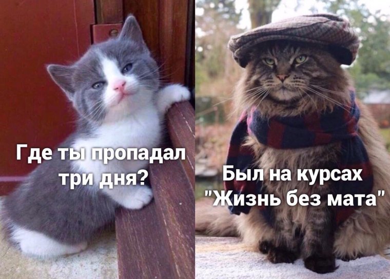 Жизнь без мата подите прочь