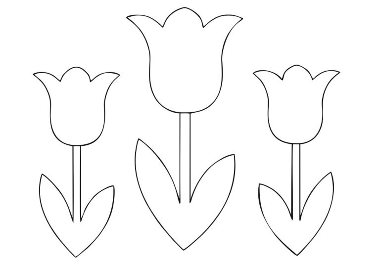 Тюльпаны для вырезания